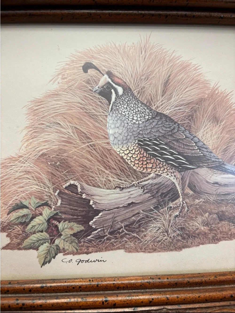 N/A vintage quail
